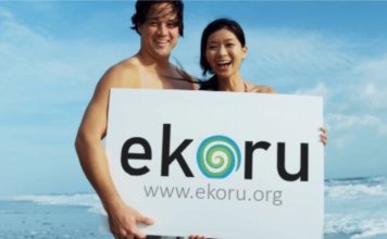 EKORU enviromental search engine