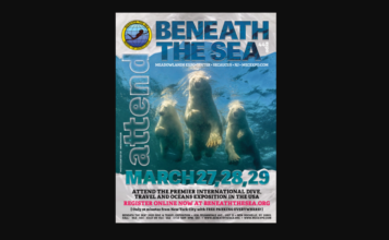 Beneath The Sea 2020