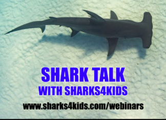 Shark Talk