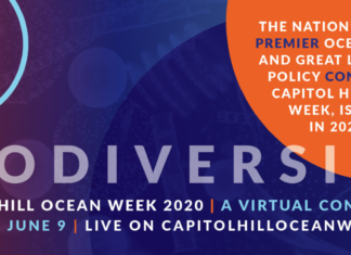 Capitol Hill Ocean Week Is Going Virtual For 2020