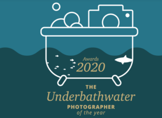 Fourth Element's 2020 Underbathwater Photographer Of The Year Contest