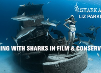 Shark Angels Earth Day 2020 webinar with stuntwoman Liz Parkinson (Image credit: Lia Barrett)
