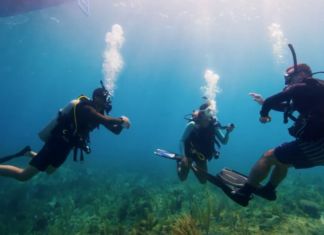 PADI Calls On Divers To Save The Ocean from Home On Earth Day