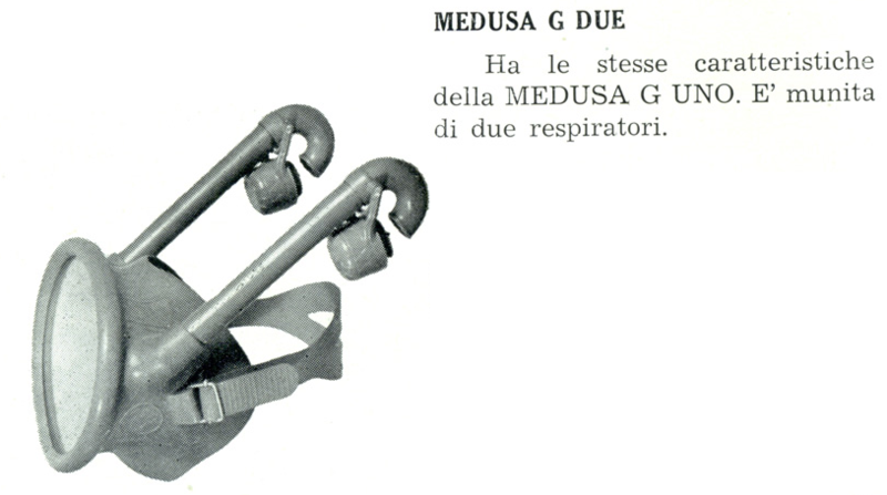 MedusaGdue_1955.png